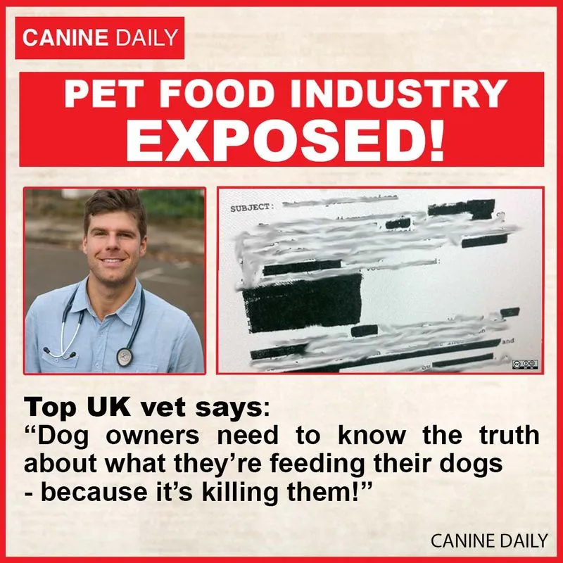 Still ad example 13
