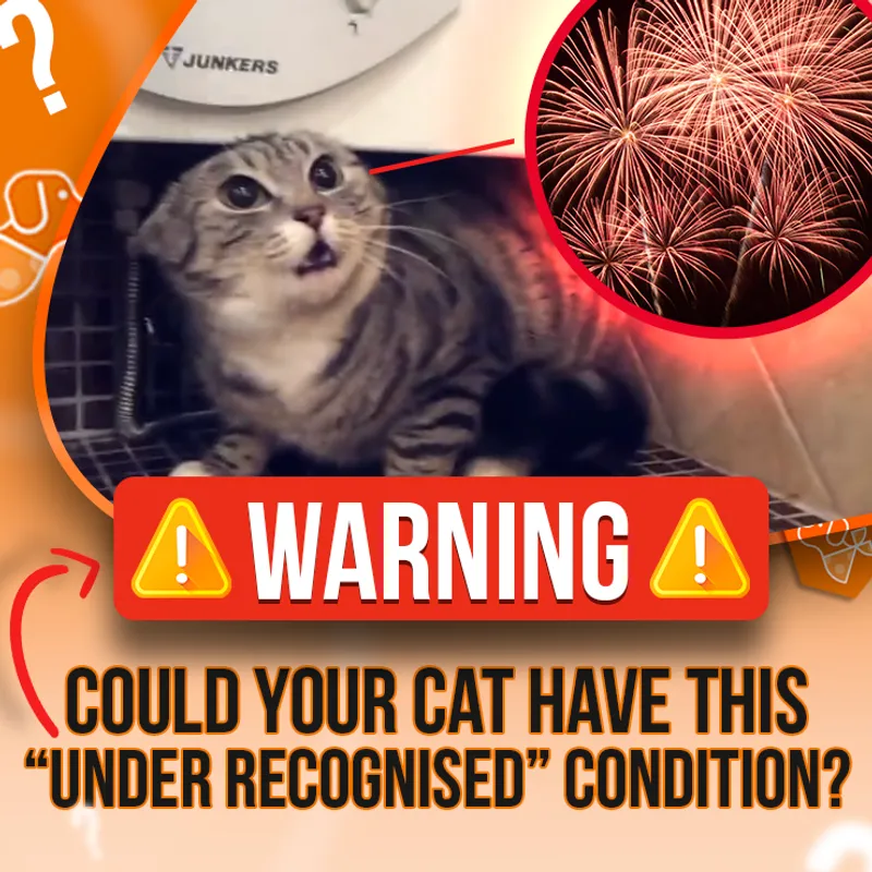 Still ad example 7